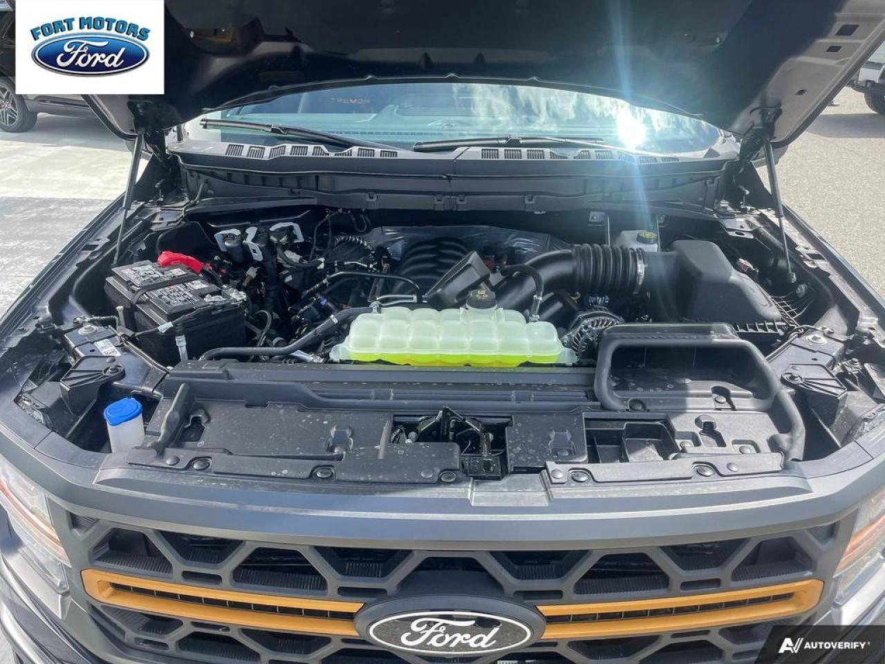 2025 Ford F-150 Tremor® Photo5