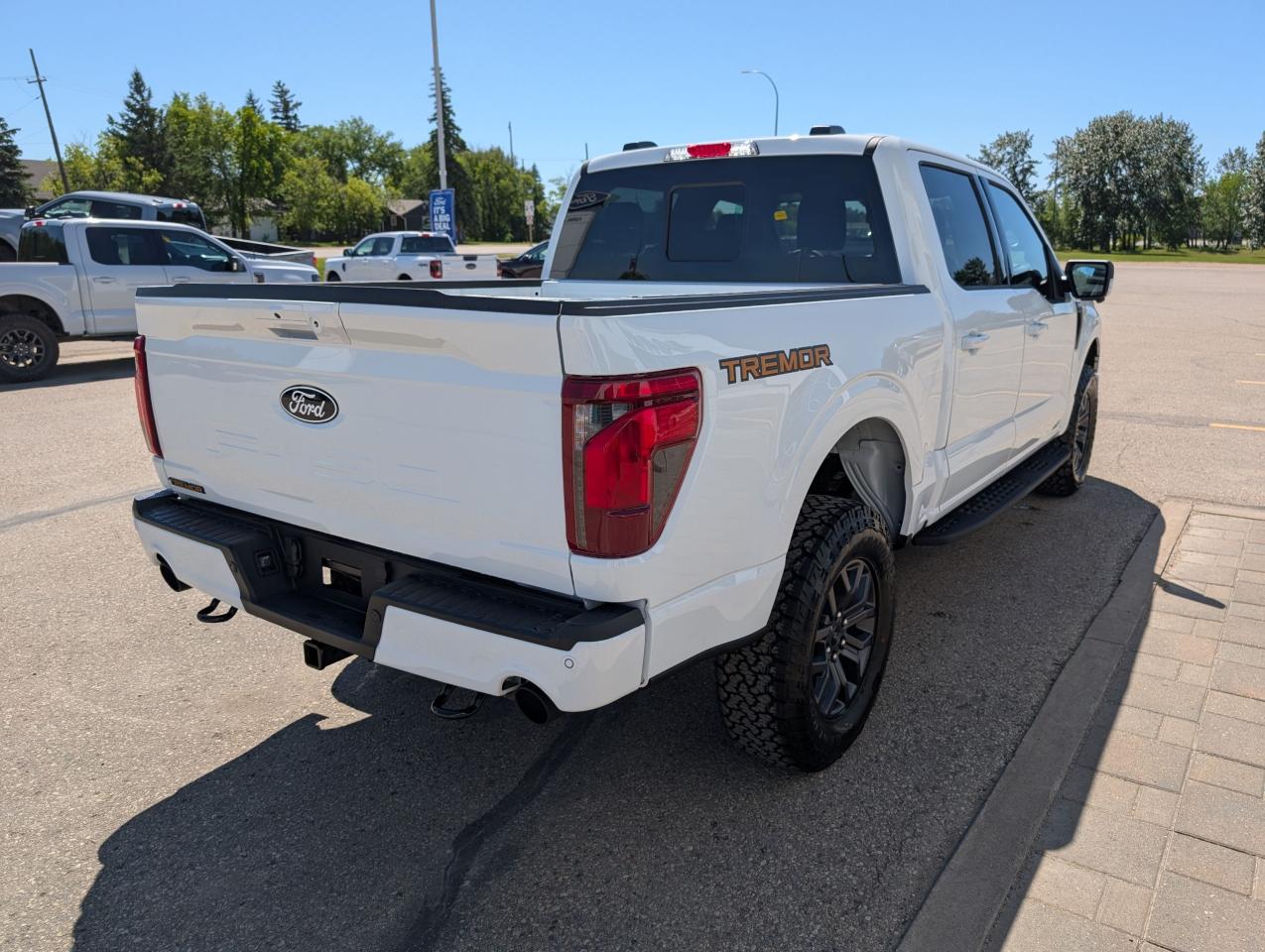 2025 Ford F-150 Tremor Photo5