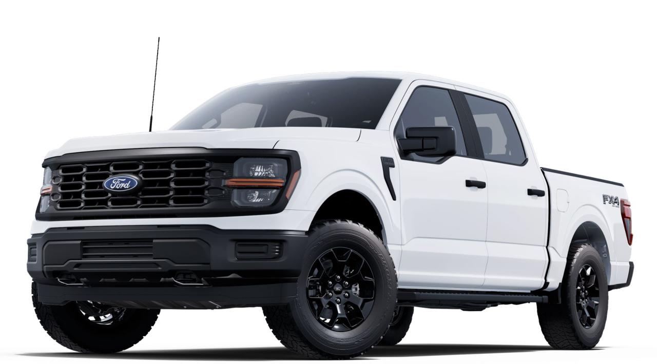 New 2025 Ford F-150 STX for sale in Swan River, MB
