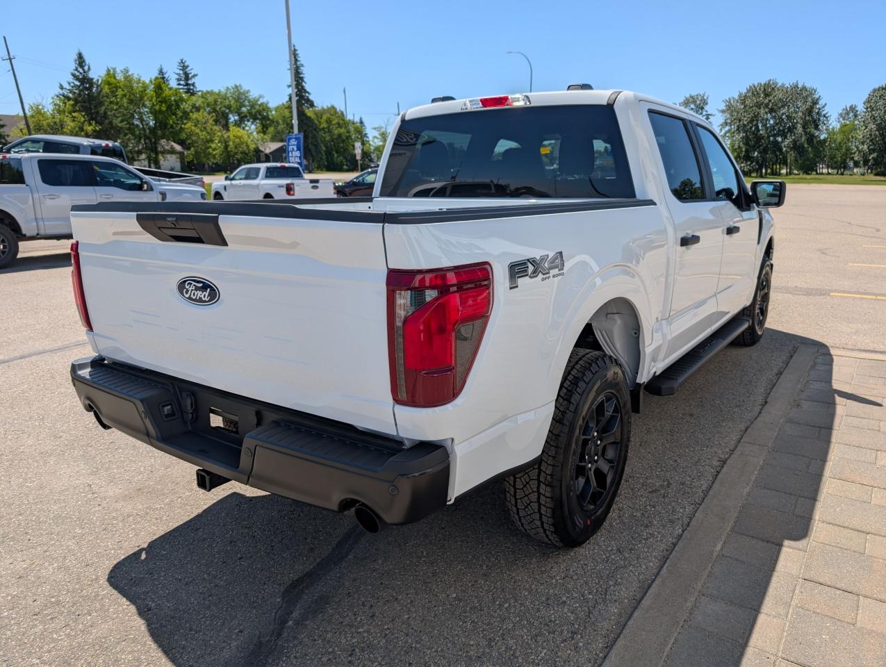 2025 Ford F-150 STX Photo5