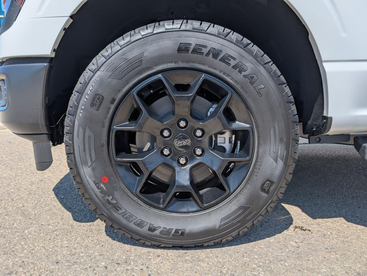 2025 Ford F-150 STX Photo5