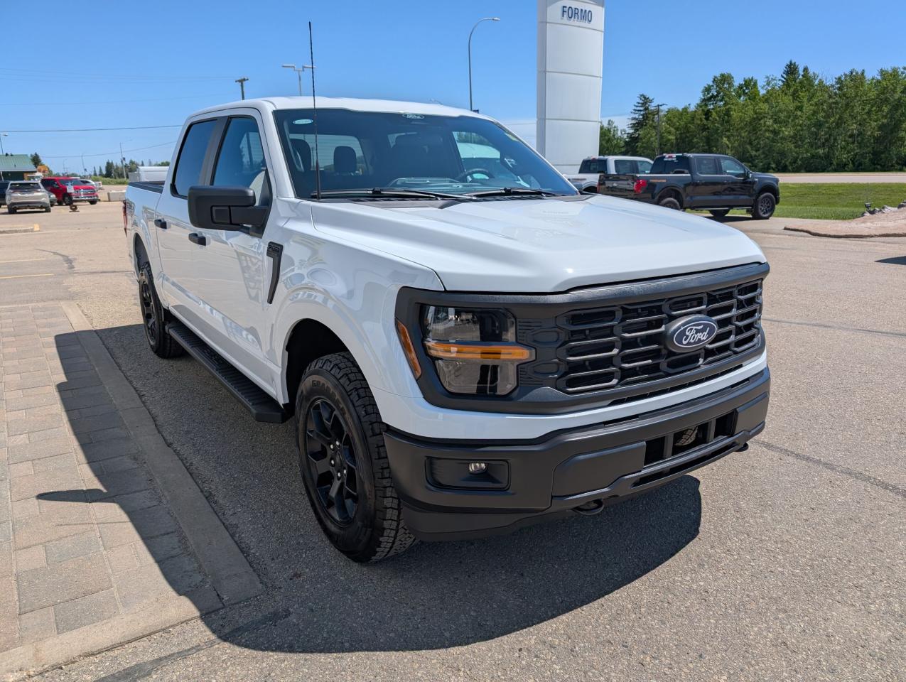 2025 Ford F-150 STX Photo3