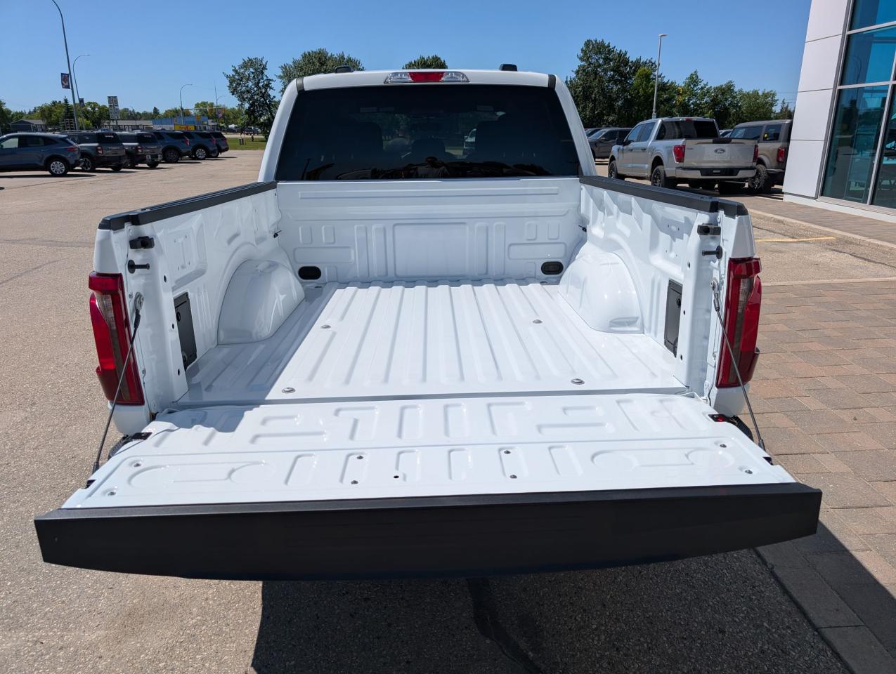 2025 Ford F-150 STX Photo5