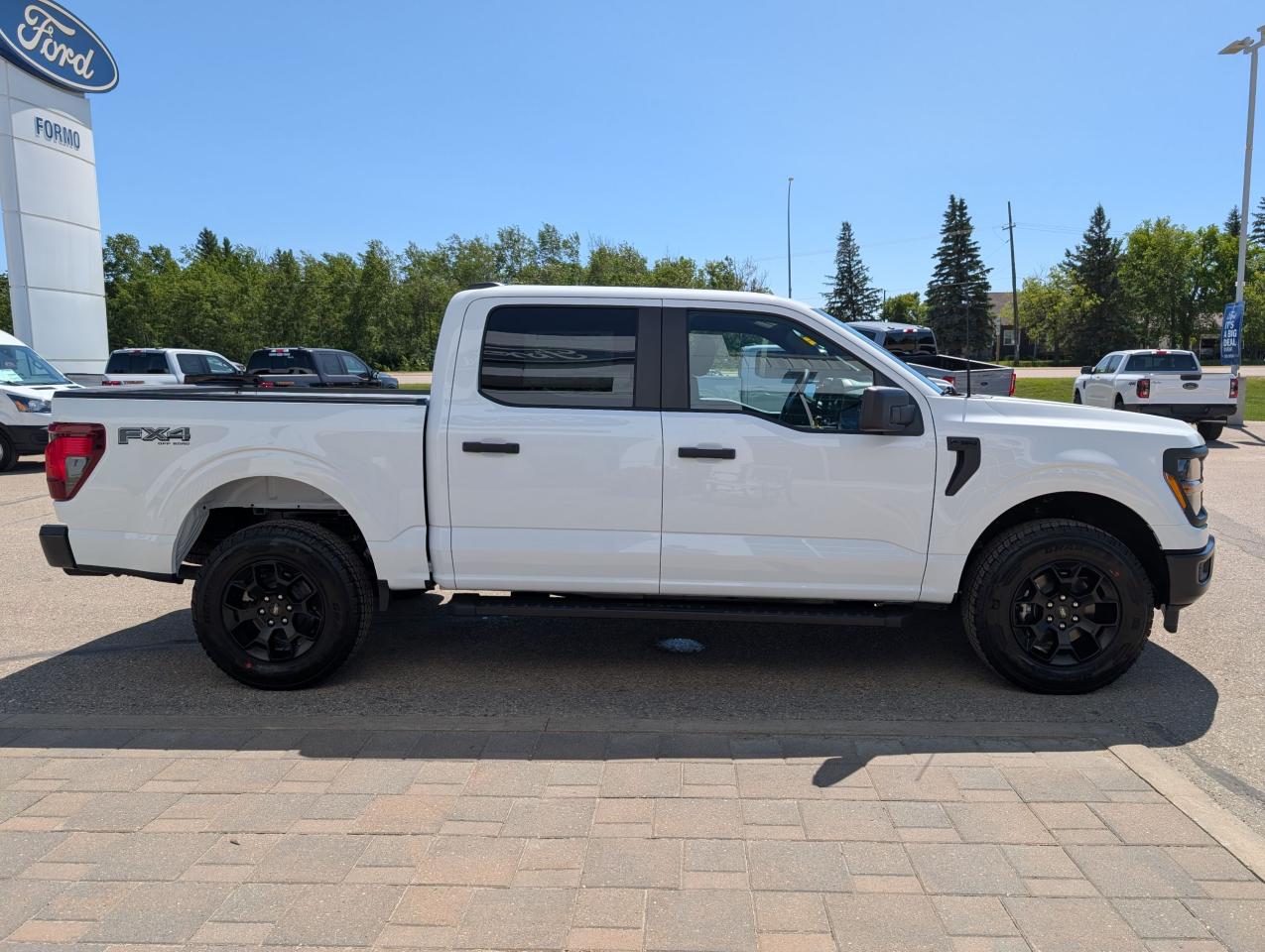 2025 Ford F-150 STX Photo4