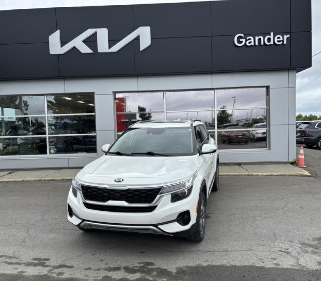 Used 2021 Kia Seltos EX for sale in Gander, NL