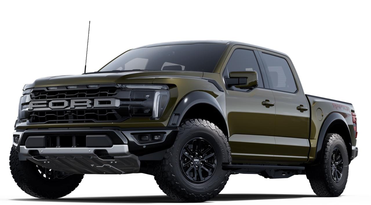 2025 Ford F-150 Raptor 4WD SuperCrew 5.5' Box Photo0