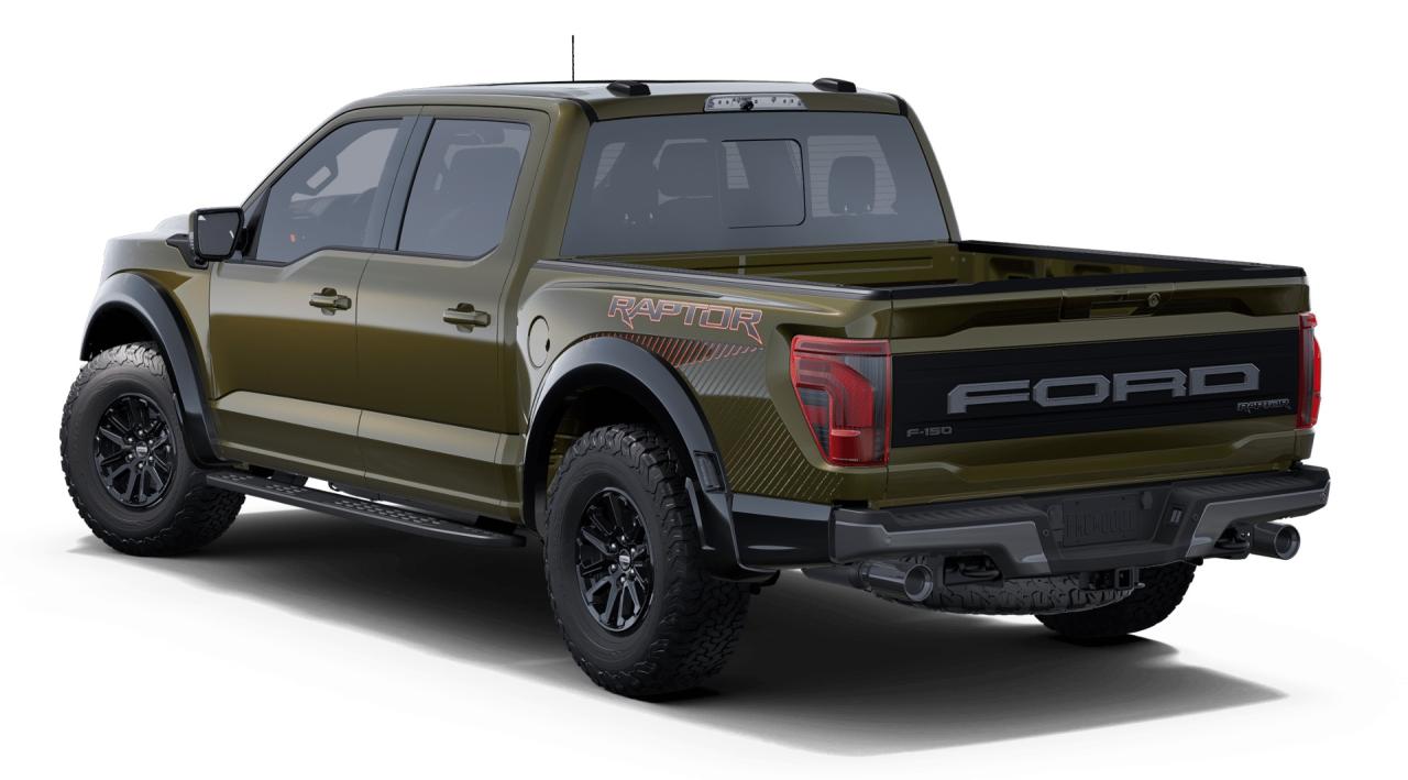 2025 Ford F-150 Raptor 4WD SuperCrew 5.5' Box Photo1