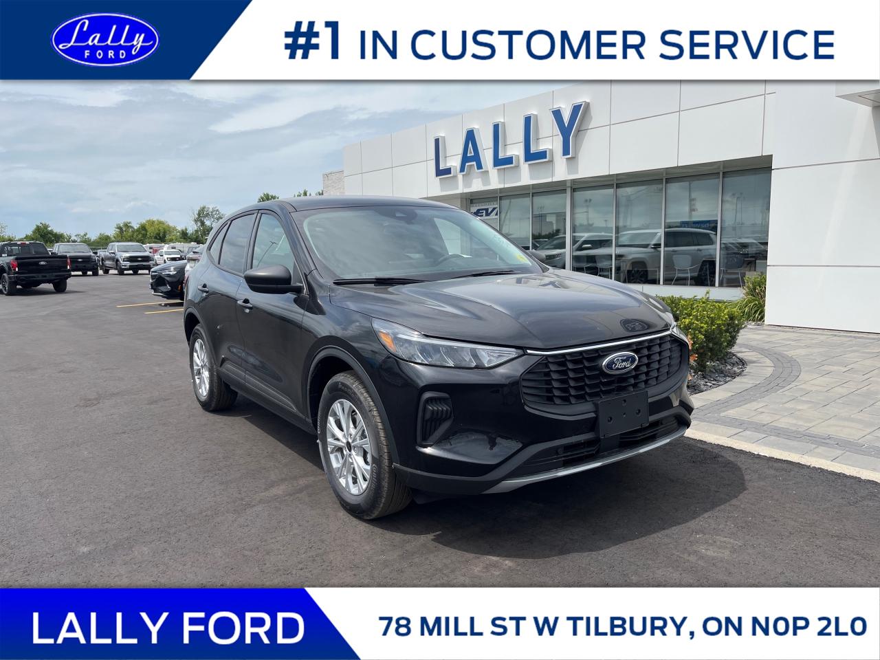 New 2025 Ford Escape Active for sale in Tilbury, ON