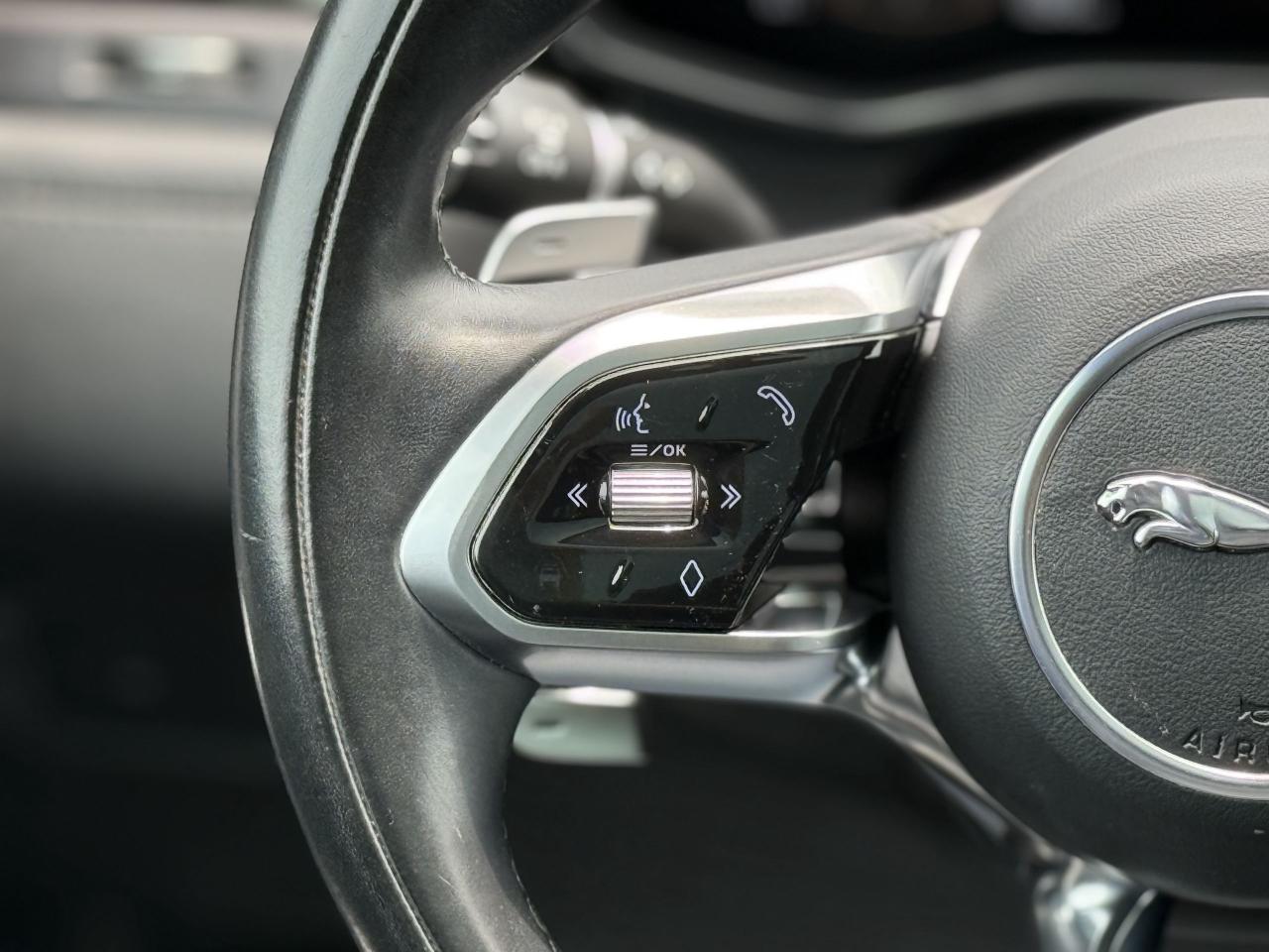 2021 Jaguar F-PACE P340S | MERIDIAN | PANO | LOADED - Photo #20