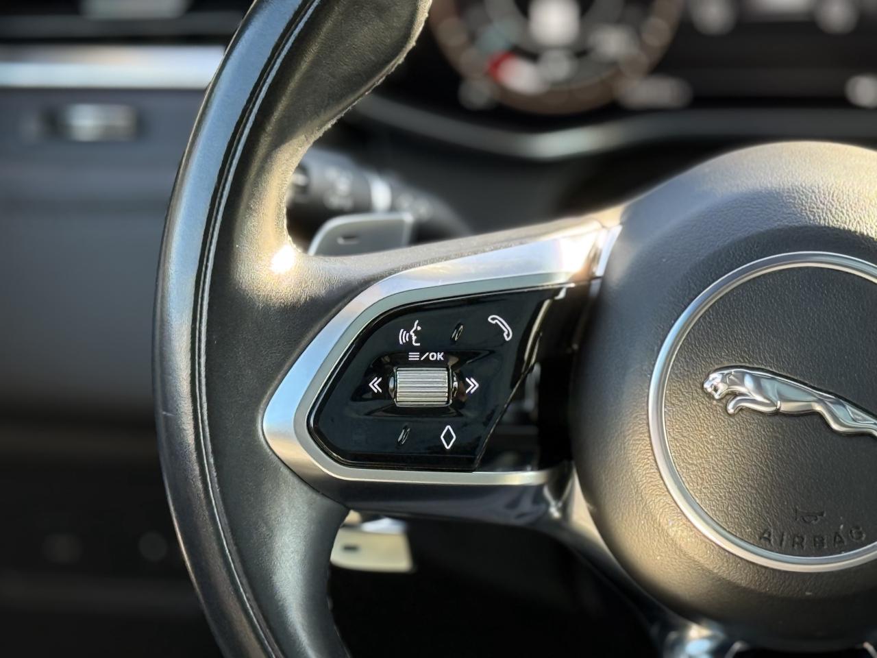 2021 Jaguar F-PACE P340S | MERIDIAN | PANO | LOADED Photo