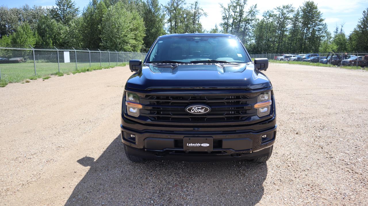2025 Ford F-150 XLT Photo