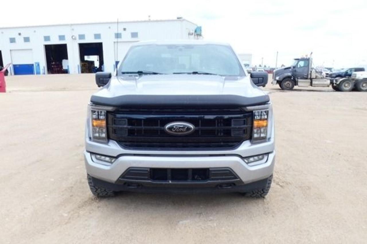 2023 Ford F-150 XLT w/Htd Leather, NAV, BUC - Photo #3