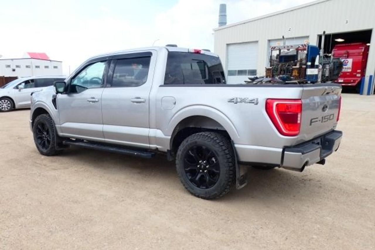 2023 Ford F-150 XLT w/Htd Leather, NAV, BUC - Photo #8