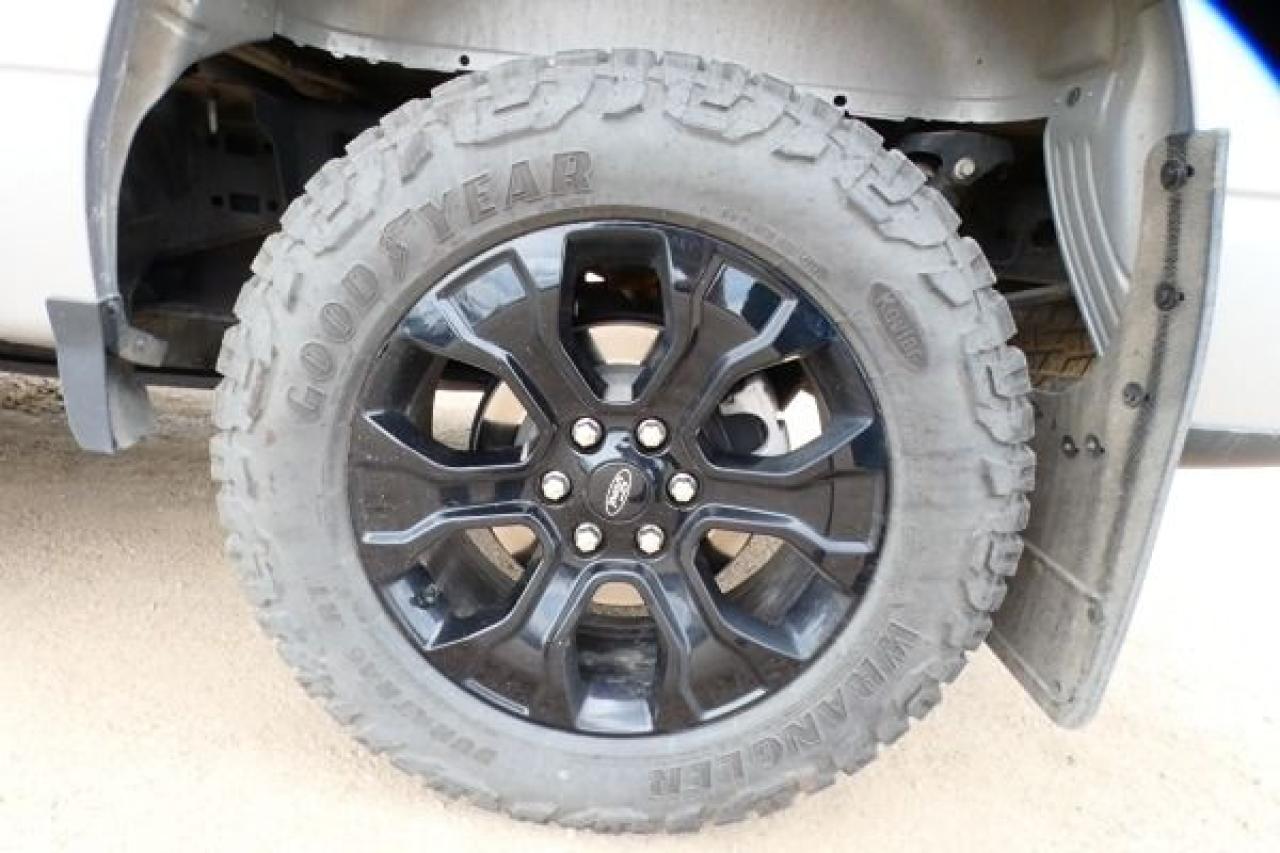 2023 Ford F-150 XLT w/Htd Leather, NAV, BUC - Photo #19