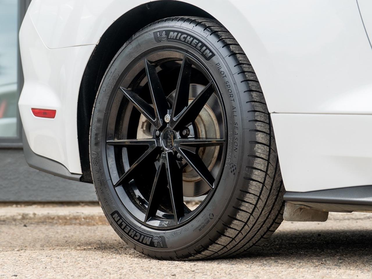 2015 Ford Mustang EcoBoost Premium Convertible Photo3