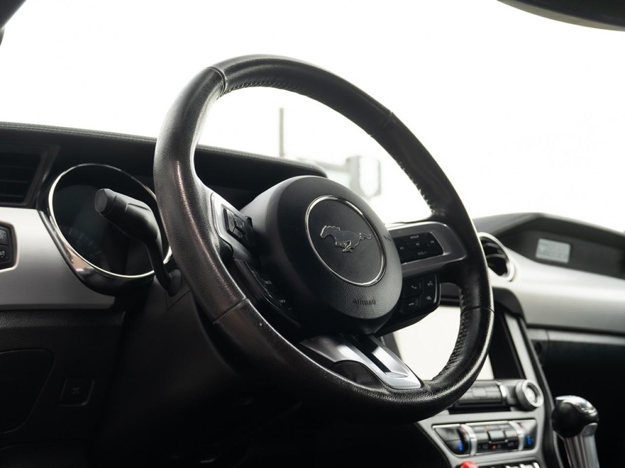2015 Ford Mustang EcoBoost Premium Convertible Photo12
