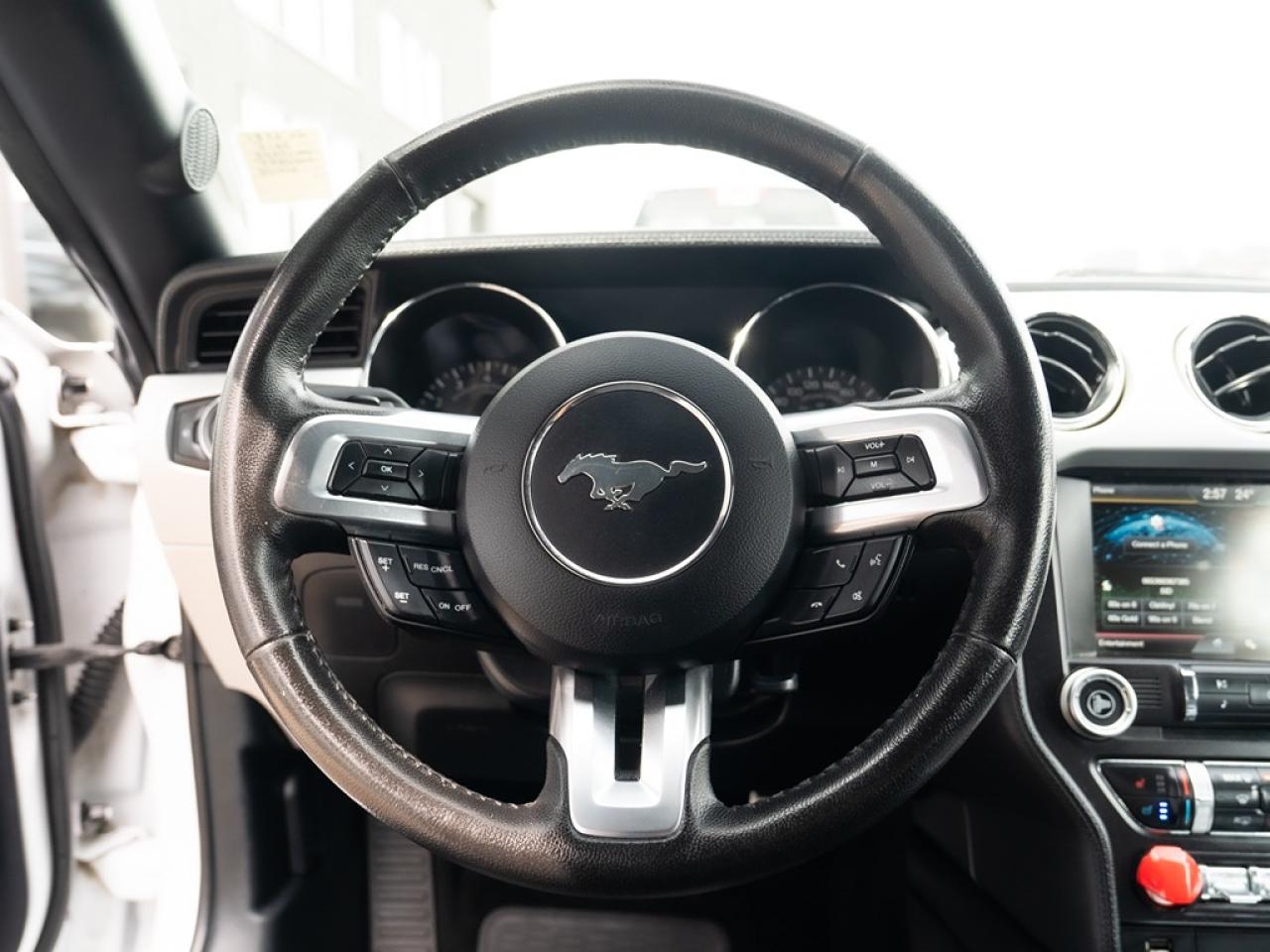 2015 Ford Mustang EcoBoost Premium Convertible Photo11