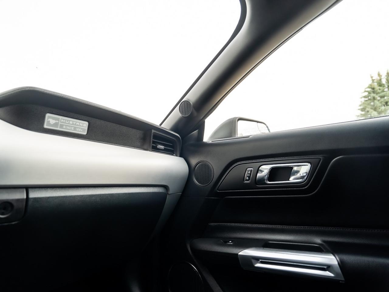 2015 Ford Mustang EcoBoost Premium Convertible Photo13