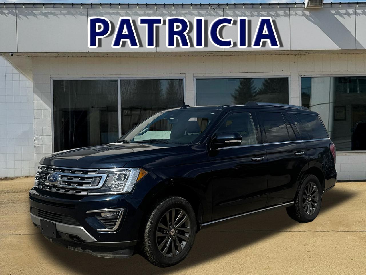 Used 2021 Ford Expedition Limited for sale in Manning, AB