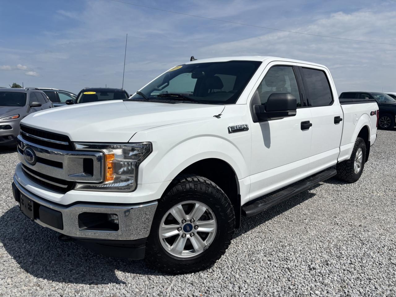 Used 2019 Ford F-150 XLT 5.0L V-8 for sale in Dunnville, ON
