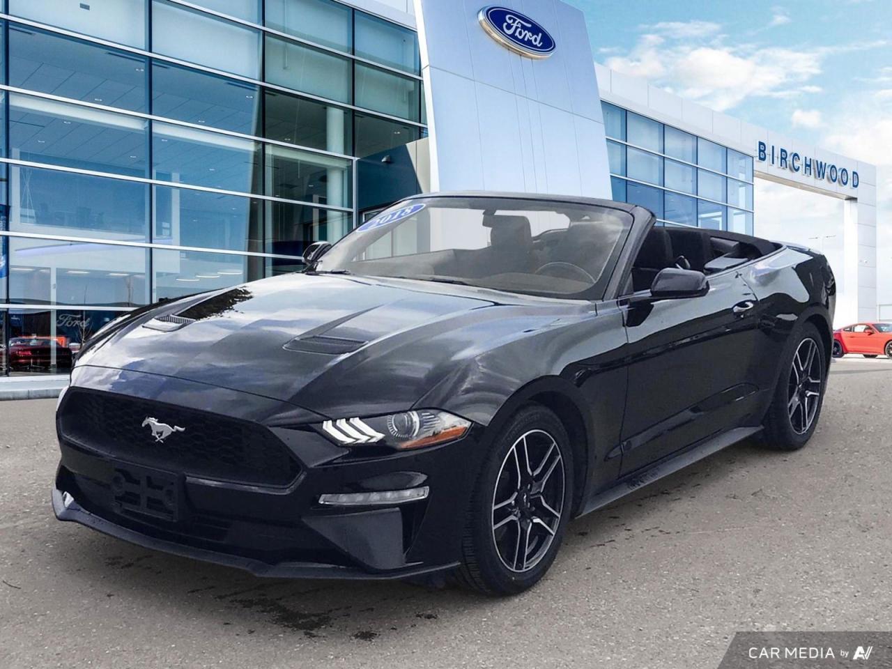 Used 2018 Ford Mustang EcoBoost Only 32,000 Kilometers | Accident Free | Very Clean Car ! for sale in Winnipeg, MB