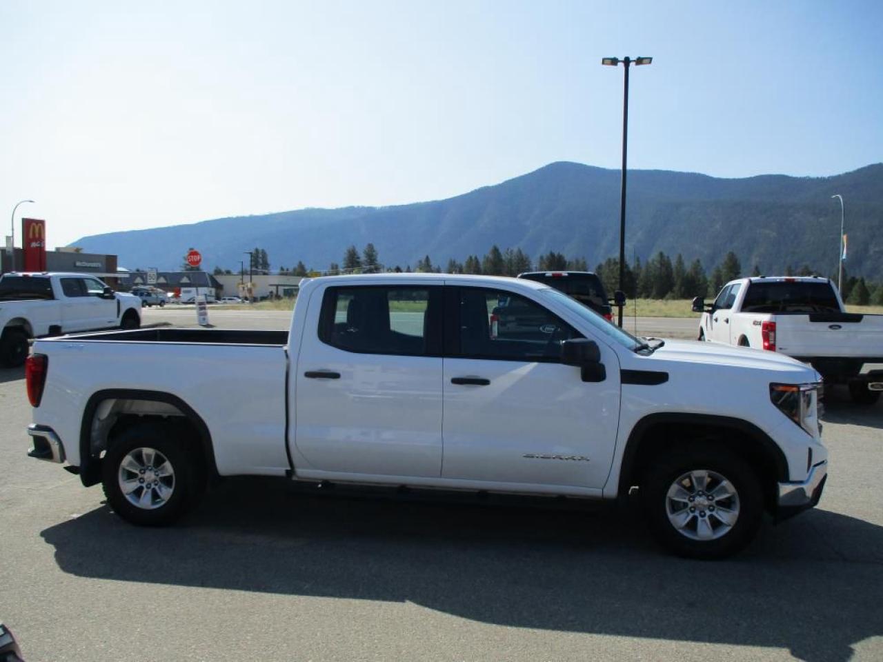2023 GMC Sierra 1500 CREW PRO 4X4 Photo3