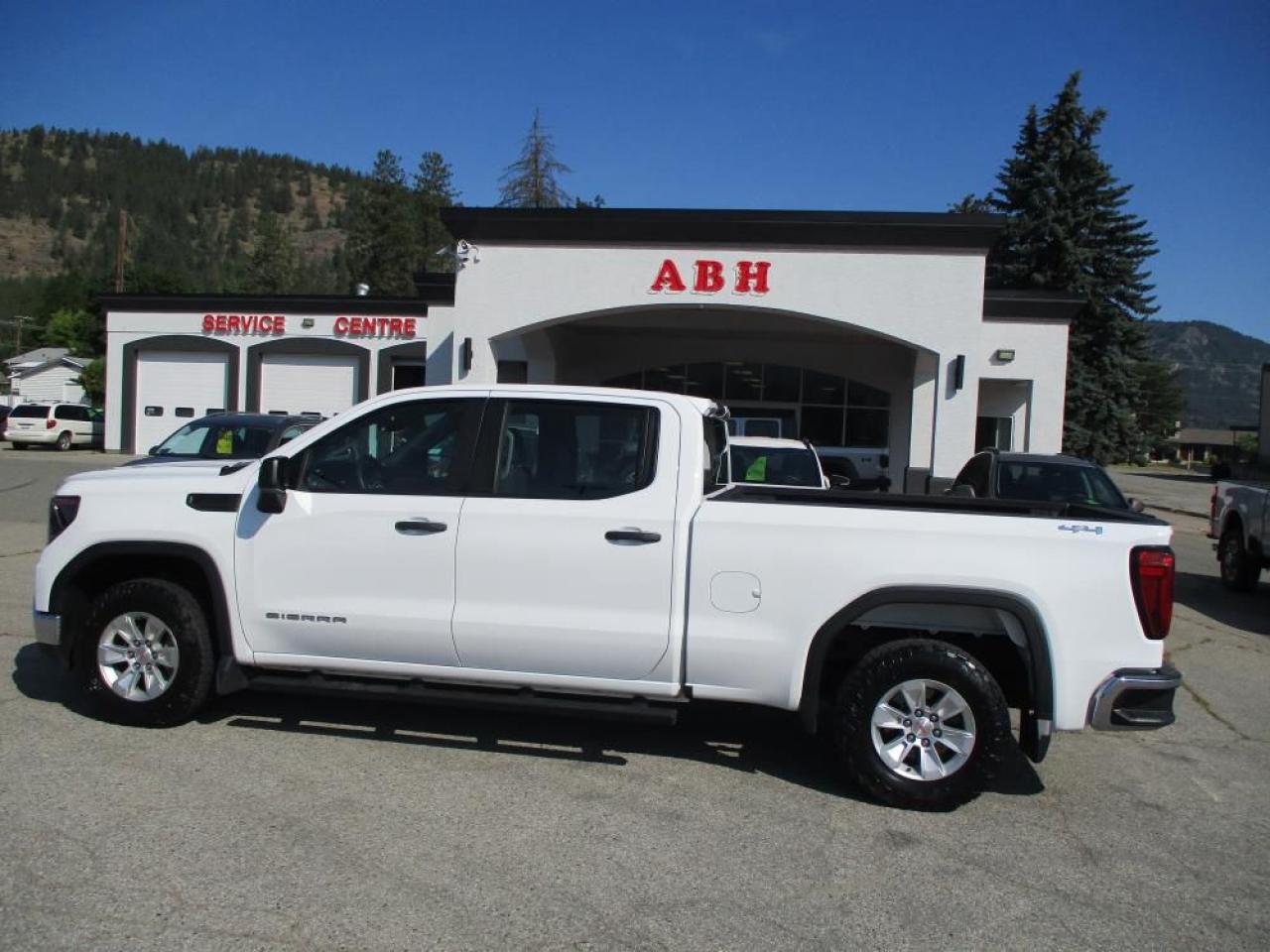 2023 GMC Sierra 1500 CREW PRO 4X4 Photo2