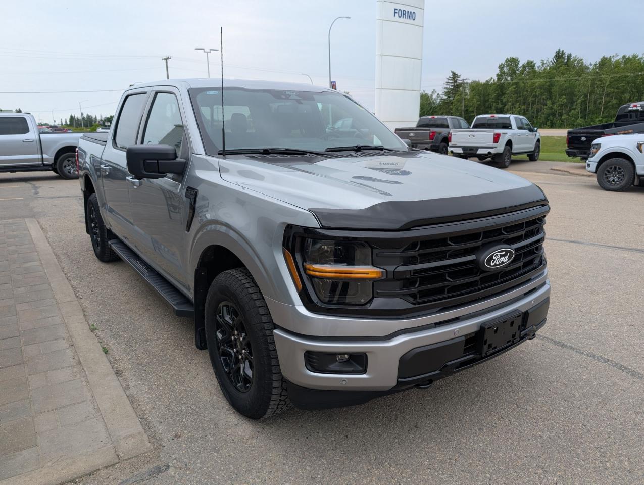 2024 Ford F-150 XLT Photo3