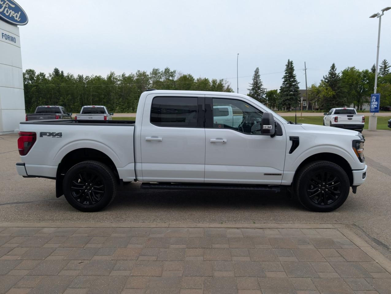 2025 Ford F-150 XLT Photo4