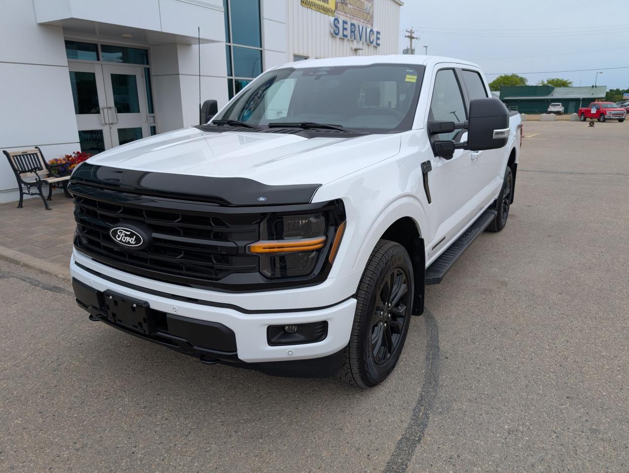 2025 Ford F-150 XLT Photo