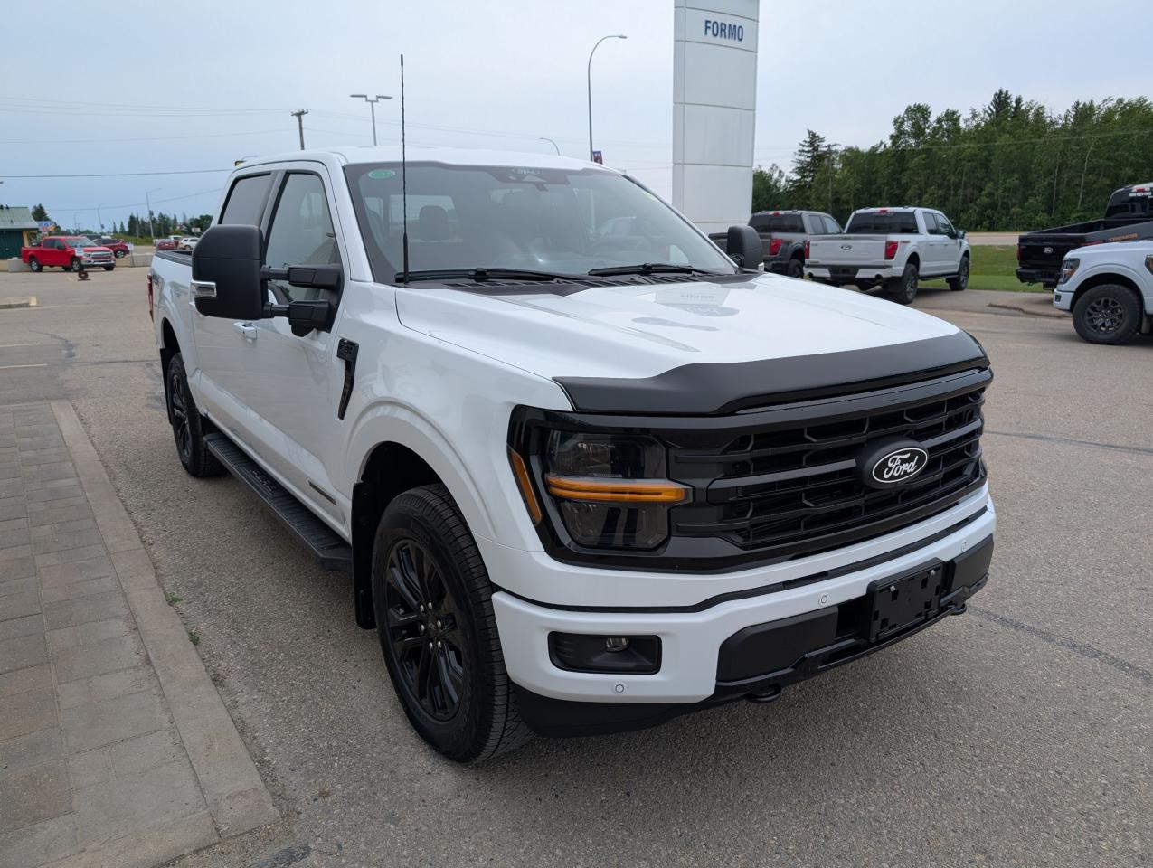2025 Ford F-150 XLT Photo3