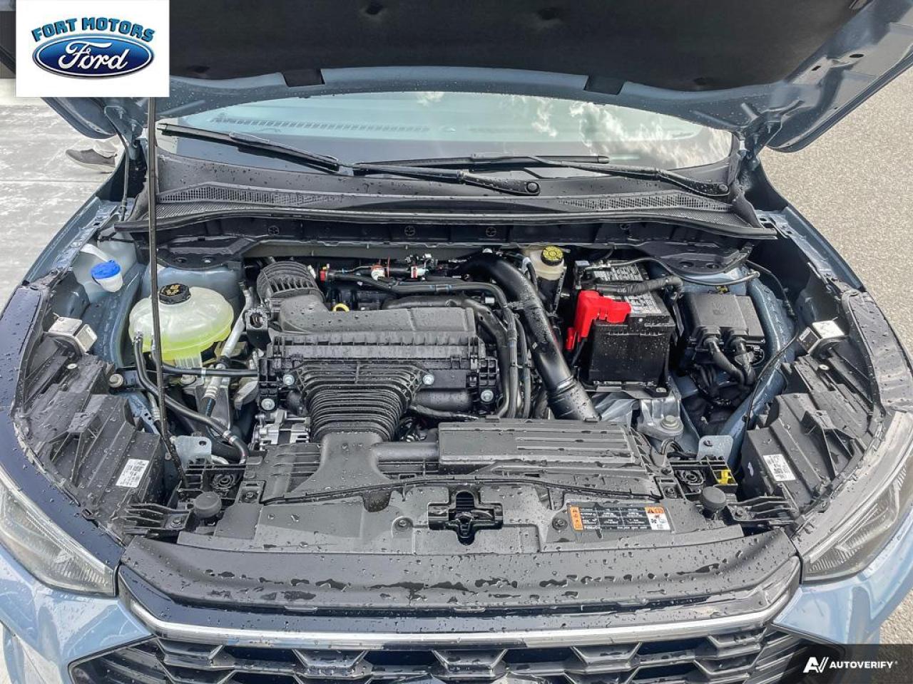 2025 Ford Escape ST-Line Elite Photo5