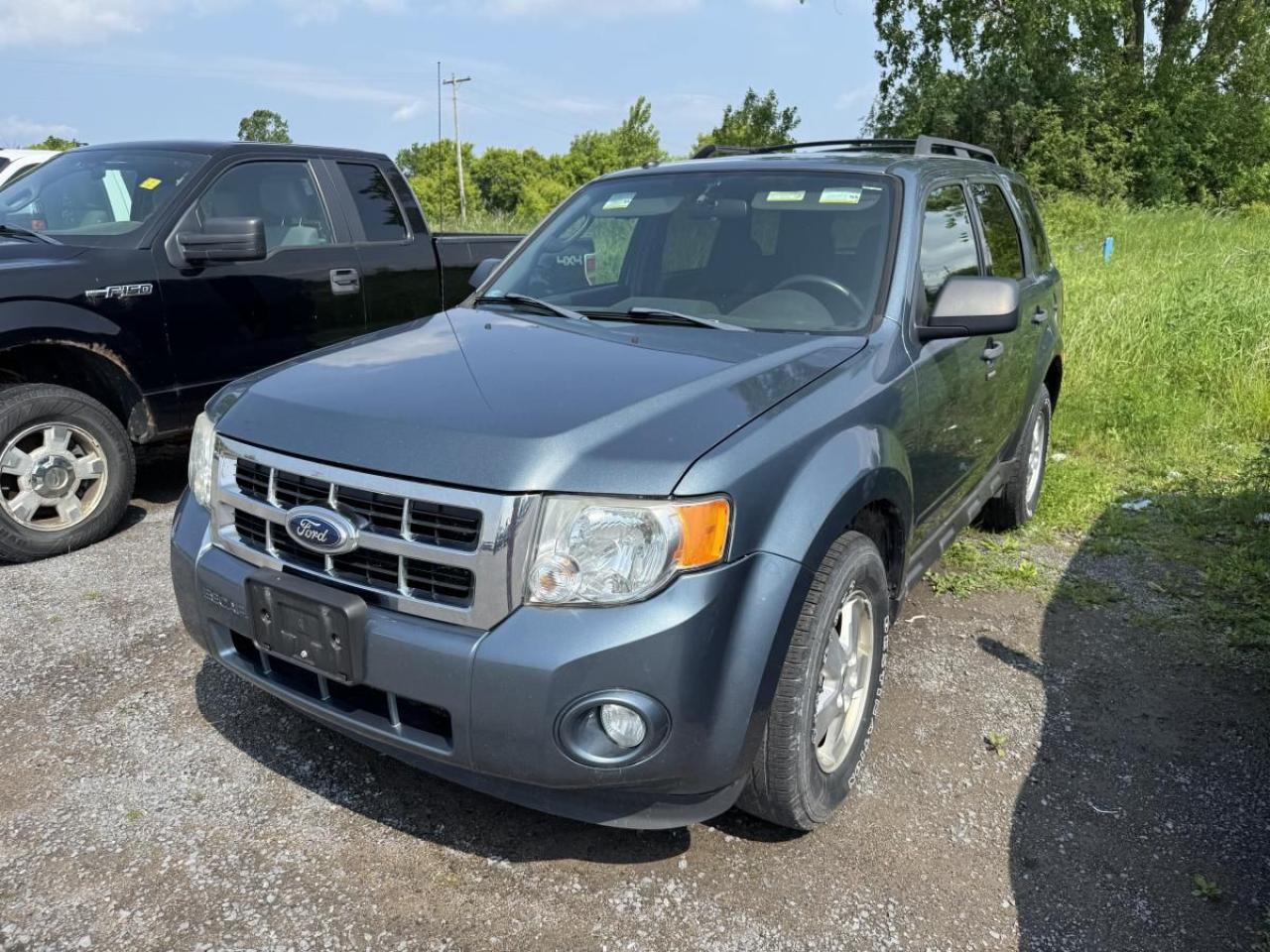 Used 2012 Ford Escape XLT for sale in Kingston, ON