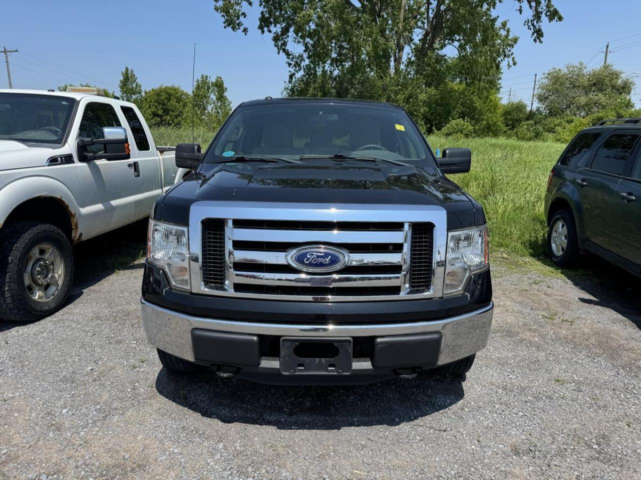 2011 Ford F-150 F150 Photo