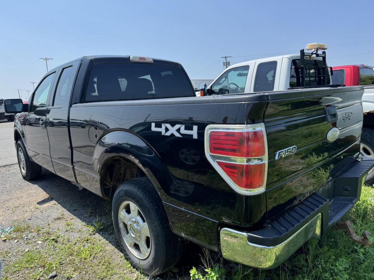 2011 Ford F-150 F150 Photo