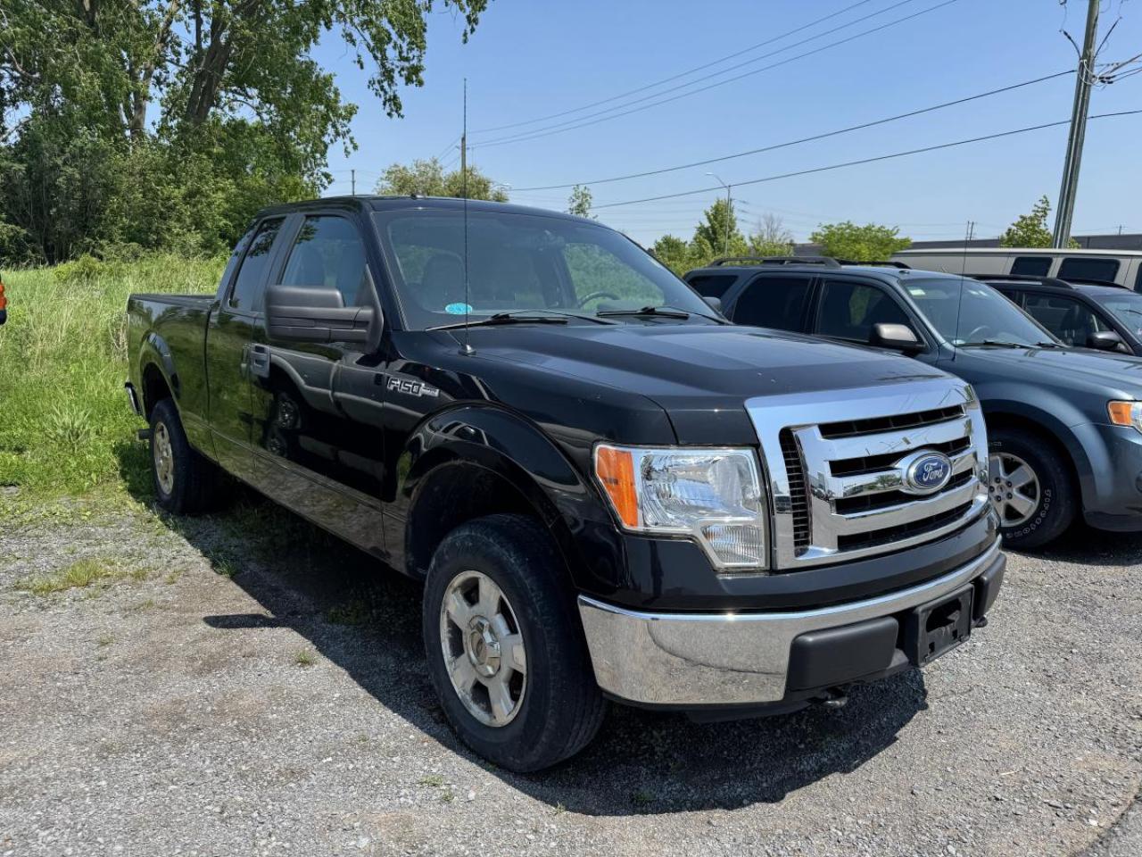 2011 Ford F-150 F150 Photo