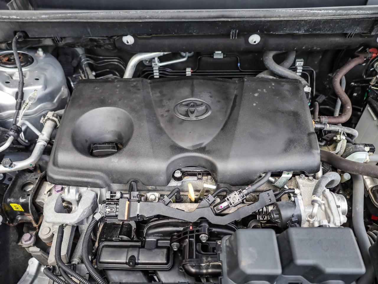 2023 Toyota RAV4 LE Photo