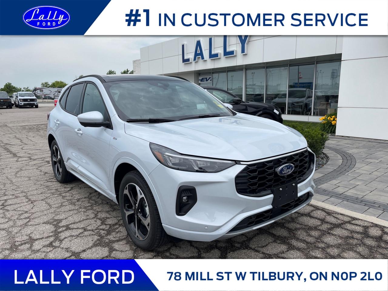 New 2025 Ford Escape ST-Line Elite for sale in Tilbury, ON