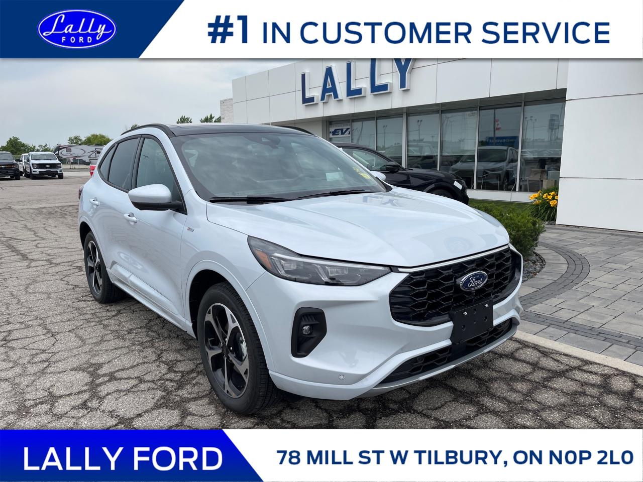 New 2025 Ford Escape ST-Line Elite for sale in Tilbury, ON