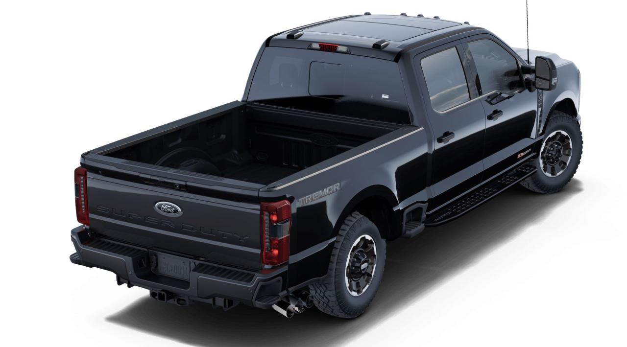 2025 Ford F-350  Photo2