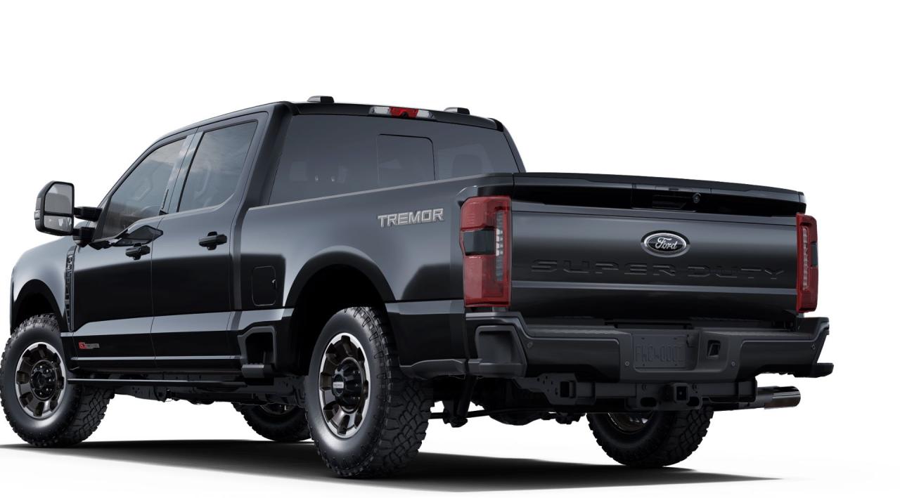 2025 Ford F-350  Photo