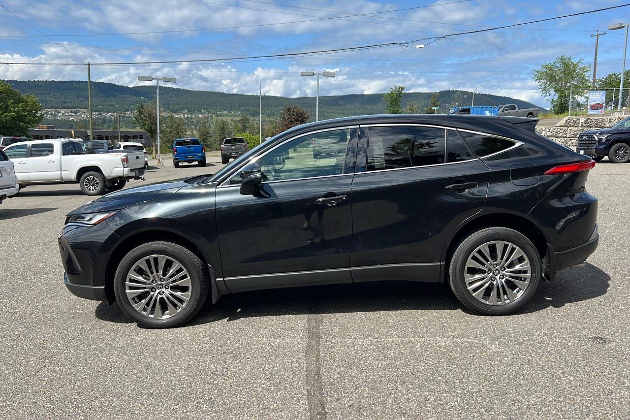 2022 Toyota Venza LIMITED Photo3