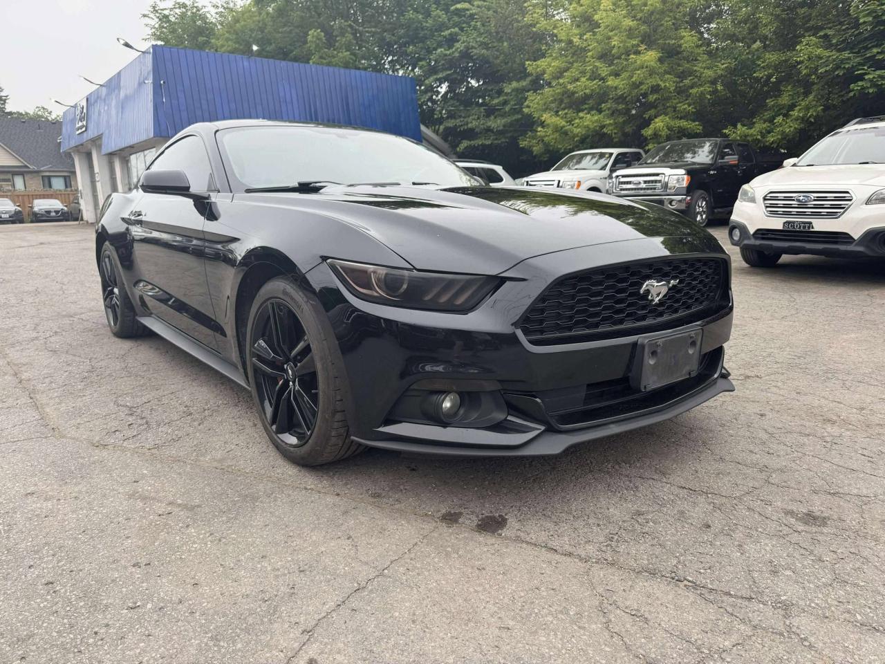 Used 2015 Ford Mustang EcoBoost Premium for sale in Cobourg, ON