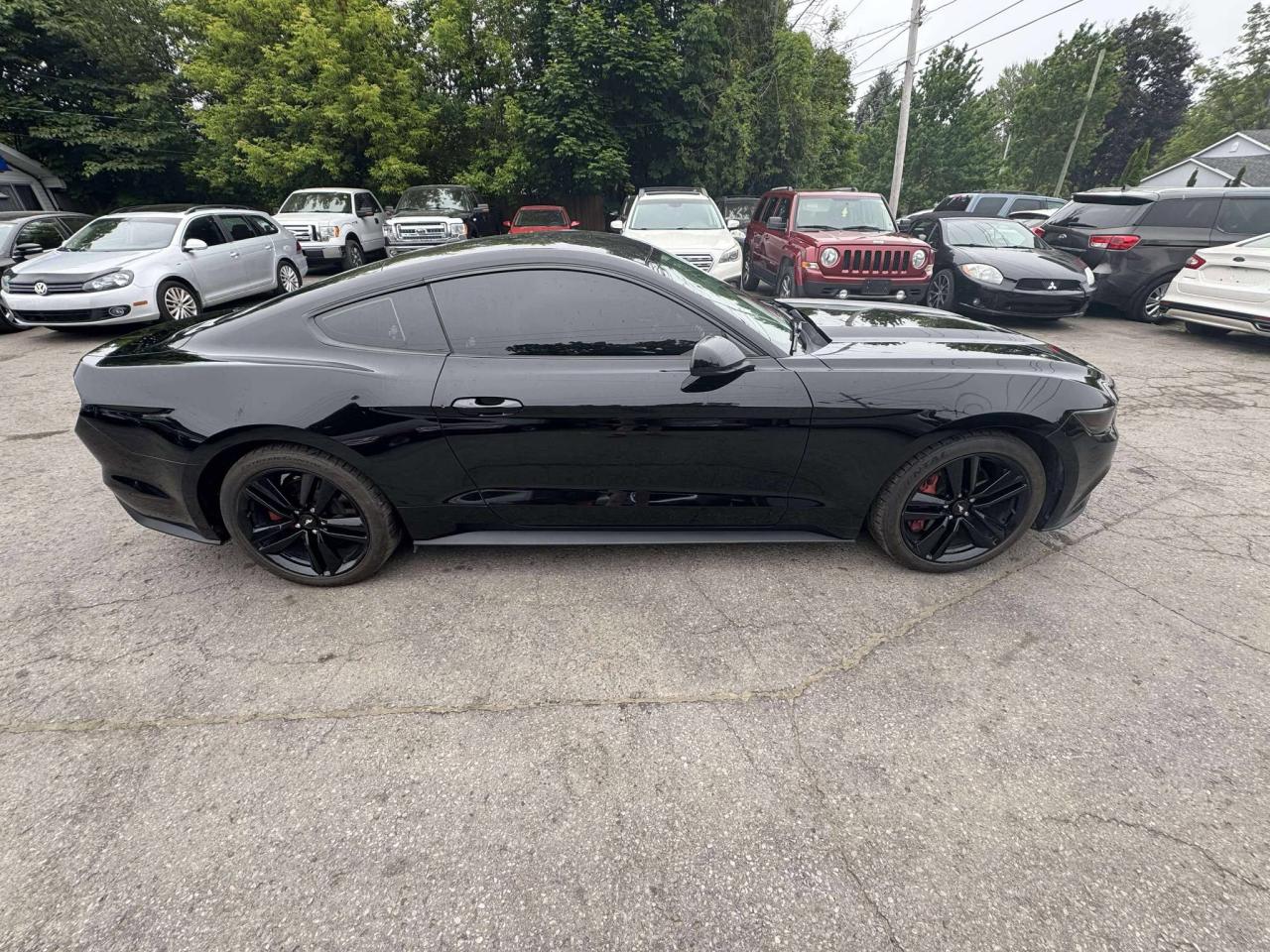 2015 Ford Mustang EcoBoost Premium - Photo #9