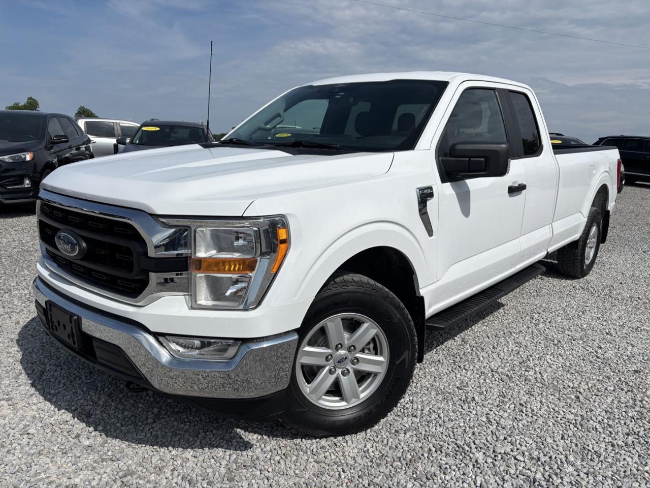 Used 2021 Ford F-150 XLT ~No Accidents~ for sale in Dunnville, ON
