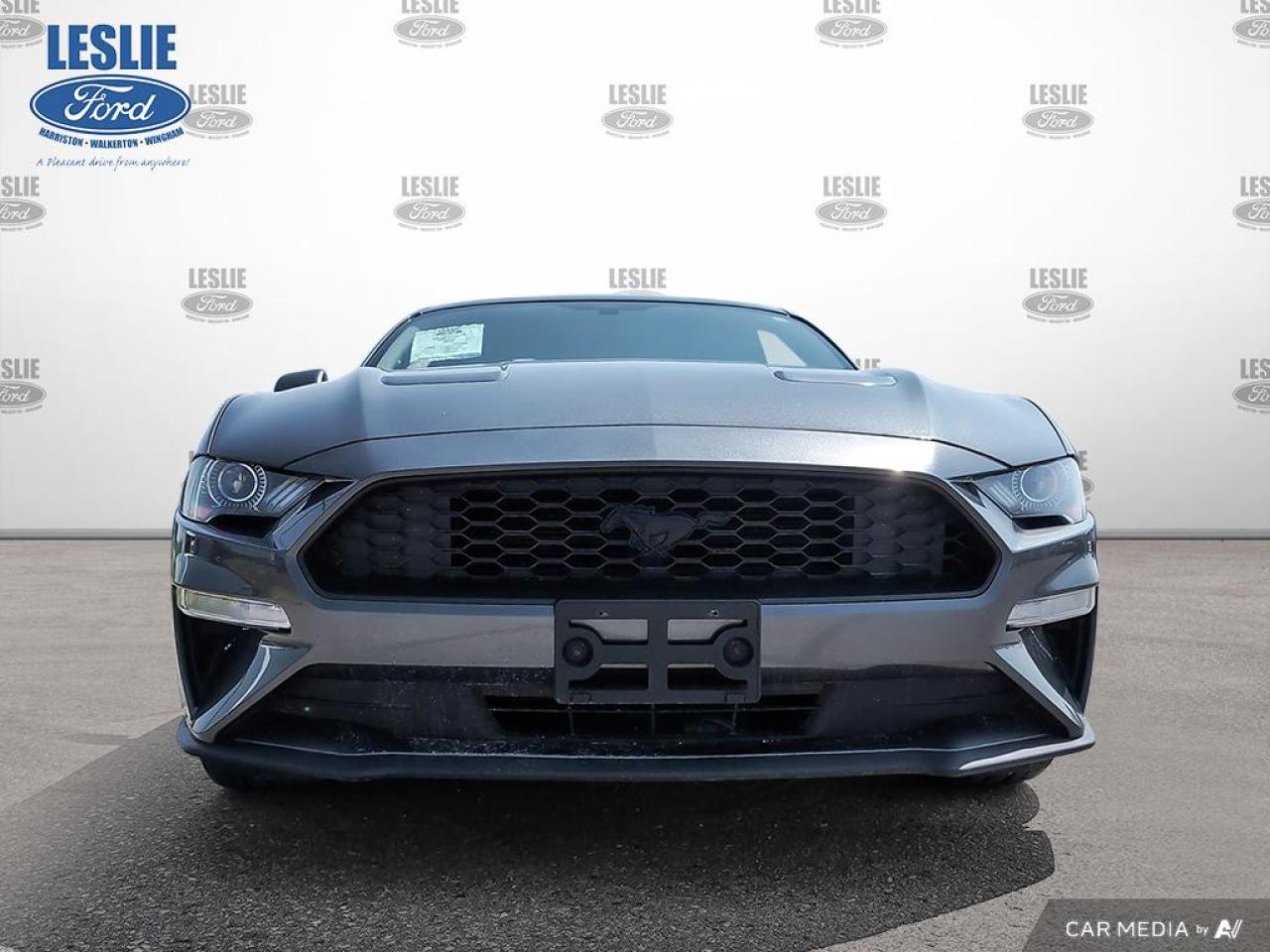 2019 Ford Mustang EcoBoost Fastback Photo