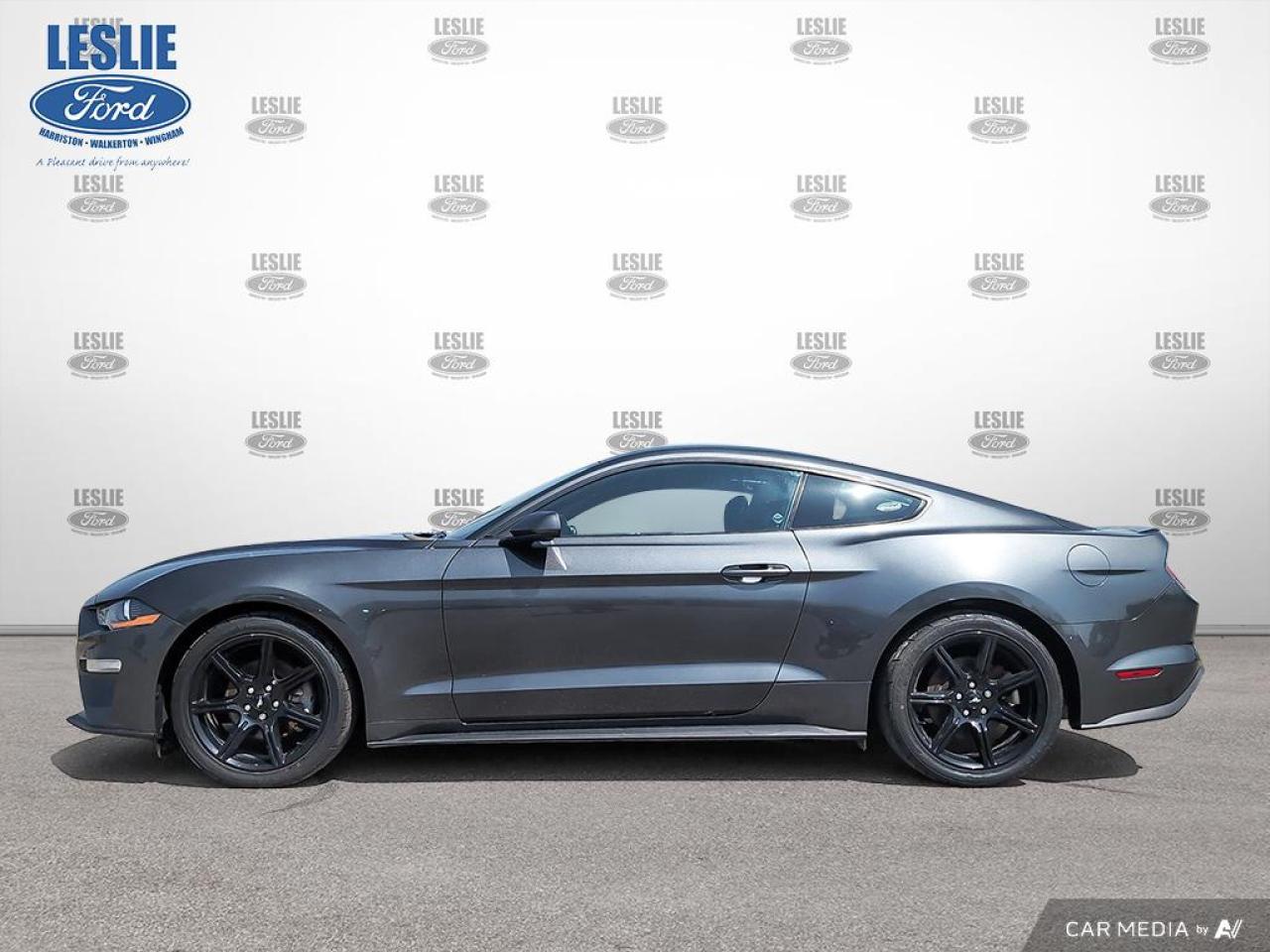 2019 Ford Mustang EcoBoost Fastback Photo2