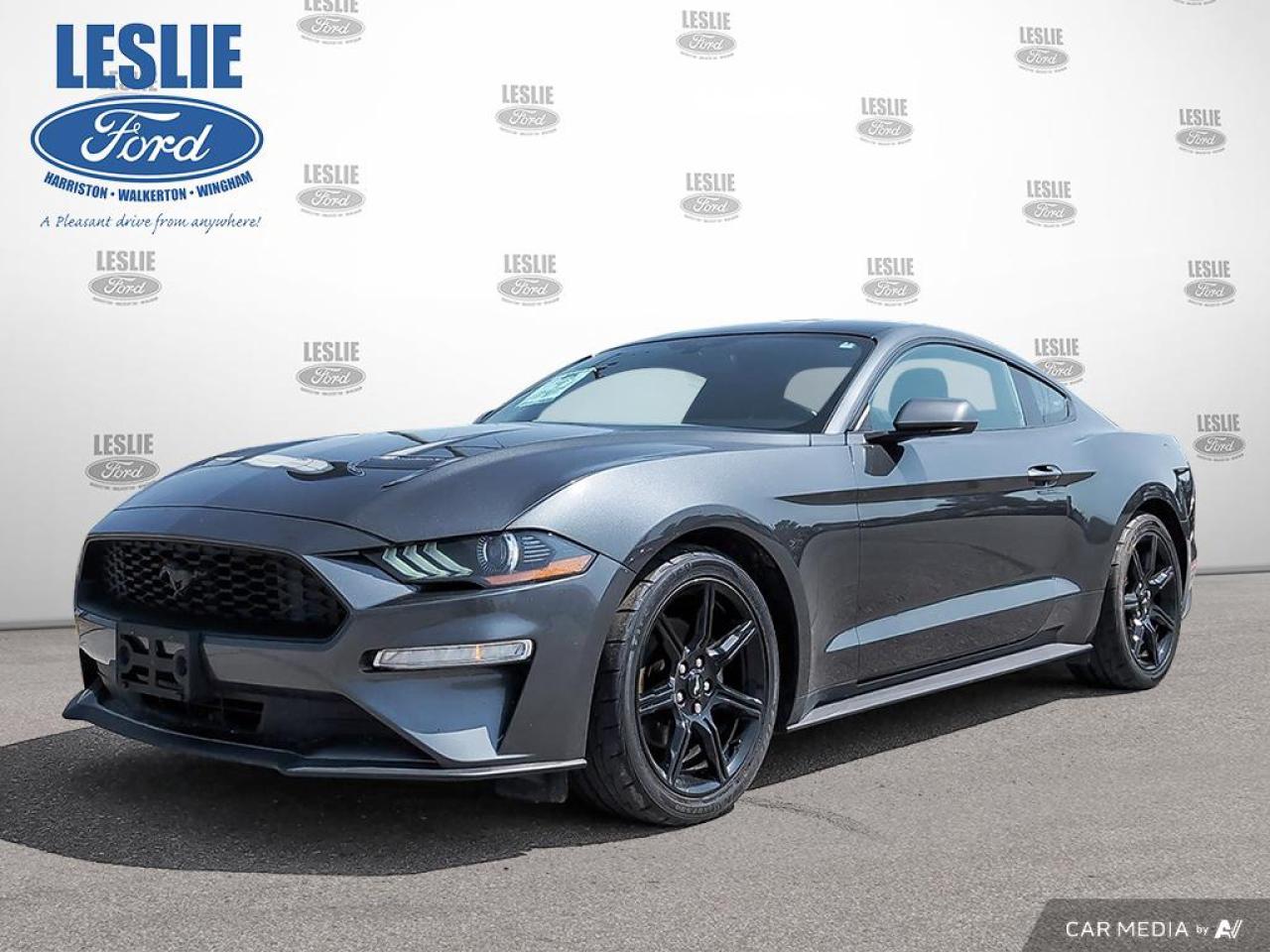 Used 2019 Ford Mustang EcoBoost Fastback for sale in Harriston/Walkterton/Wingham, ON