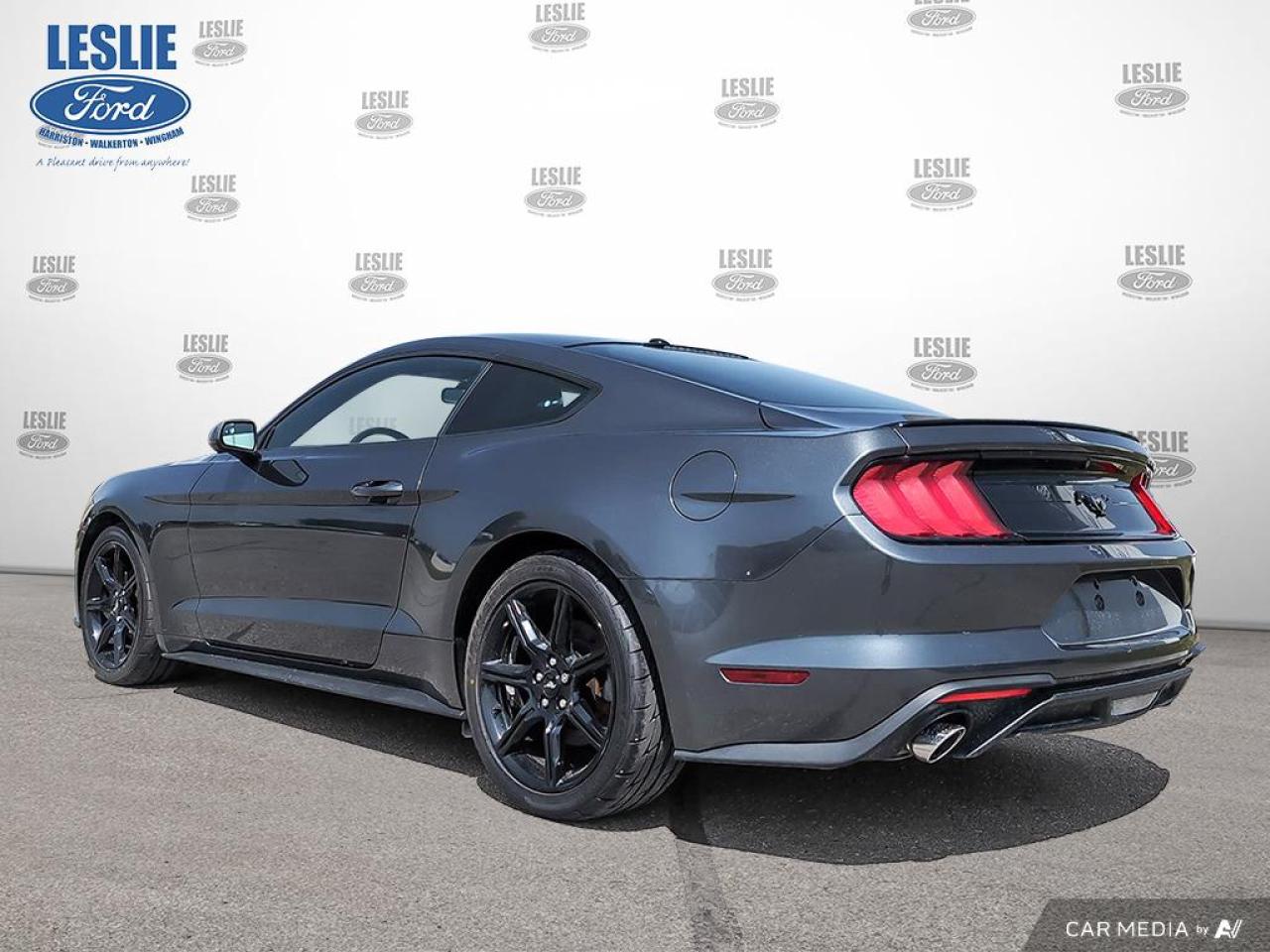 2019 Ford Mustang EcoBoost Fastback Photo3