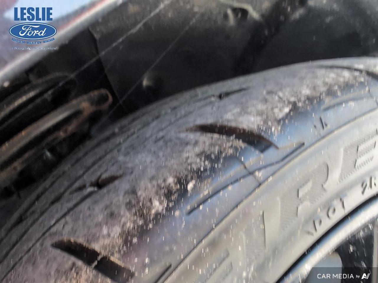 2019 Ford Mustang EcoBoost Fastback Photo